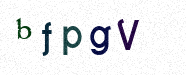 Visual Confirmation Security Code